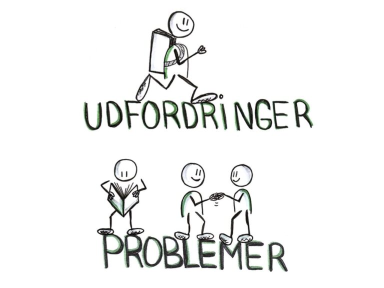 Udfordringer og Problemer